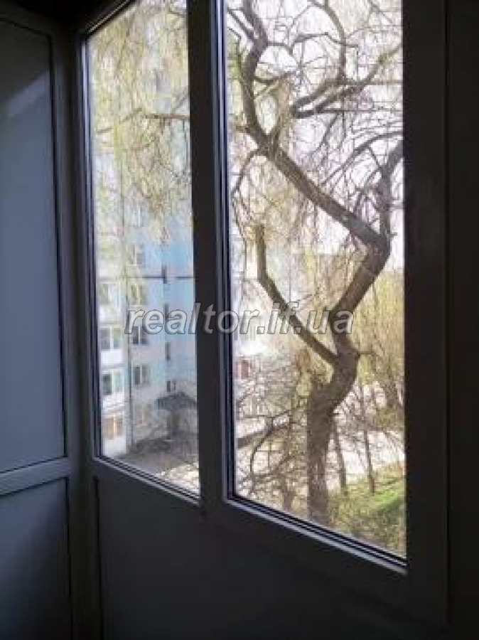 Prodayetsya_3_kimnatna_kvartyra_v_raioni_Pasichna_po_vulytsi_Khimikiv_16915_9_1567696032.jpg
