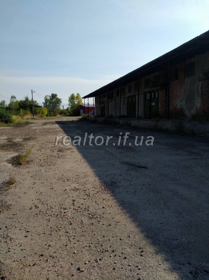 Prodayetsya_diyuchyi_sklad_z_rampoyu_v_seli_Khryplyn_16807_3_1566574165.jpg