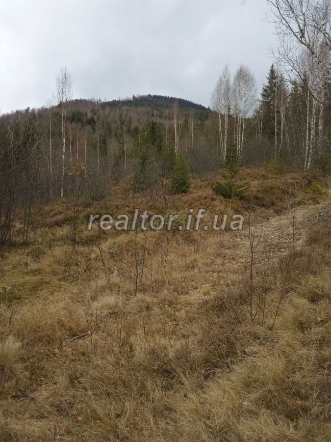 Prodayetsya_zemelna_dilyanka_v_Dolynskomu_raioni_selo_Myslivka_23466_2_1732648384.jpeg