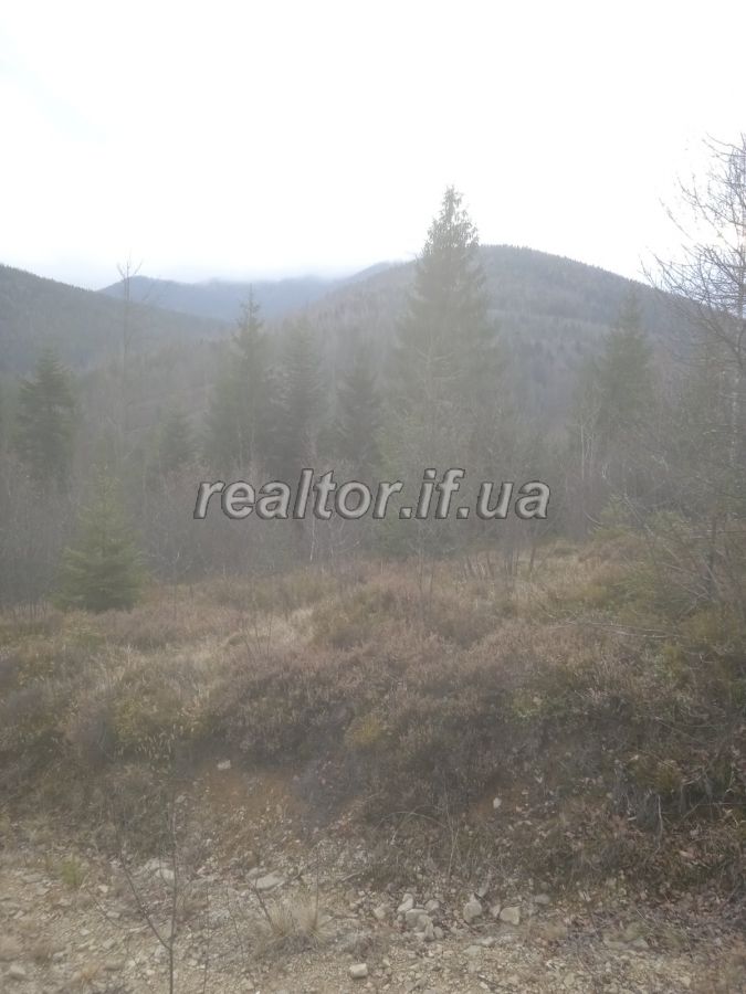 Prodayetsya_zemelna_dilyanka_v_Dolynskomu_raioni_selo_Myslivka_23466_4_1732648384.jpeg