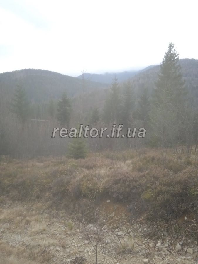 Prodayetsya_zemelna_dilyanka_v_Dolynskomu_raioni_selo_Myslivka_23466_7_1732648384.jpeg