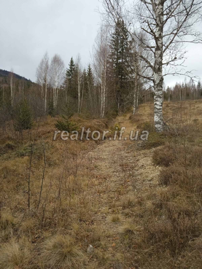 Prodayetsya_zemelna_dilyanka_v_Dolynskomu_raioni_selo_Myslivka_23466_9_1732648385.jpeg