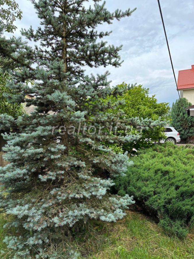 Prodazh_budynku_v_Uhornykakh_velykoyi_ploshchi_z_remontom_ta_meblyamy_22441_3_1686579451.jpeg
