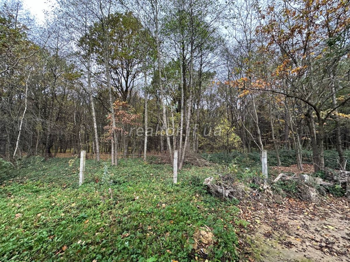 Prodazh_dachnoho_budynku_poruch_z_lisom_v_sadovomu_tovarystvi_Lisova_kazka_selo_Maidan_22715_3_1699255137.jpeg