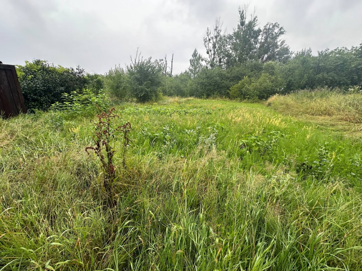 Prodazh_dachnoyi_dilyanky_v_ST_Zhytlovyk_v_seli_Pavlivka_23954_1_1753177057.jpeg