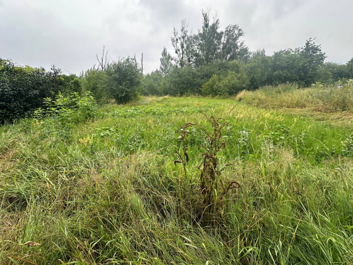 Prodazh_dachnoyi_dilyanky_v_ST_Zhytlovyk_v_seli_Pavlivka_23954_4_1753177067.jpeg
