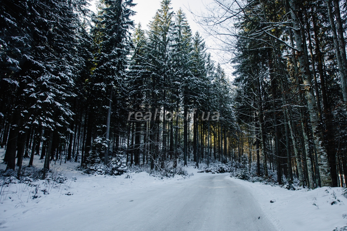 Prodazh_hotelno_-_restorannoho_kompleksu_Adrenalin_v_Karpatakh_20030_1_1618213322.jpeg