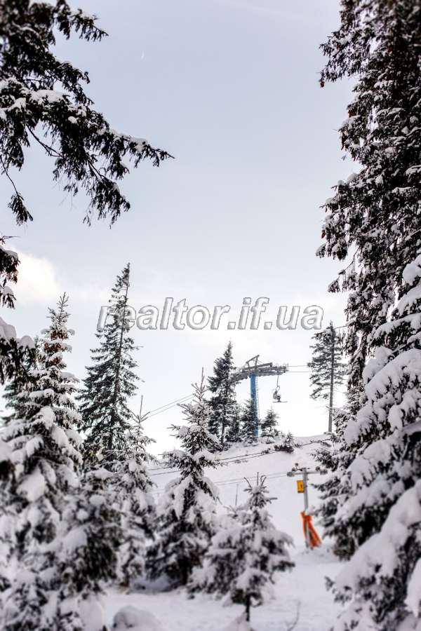 Prodazh_hotelno_-_restorannoho_kompleksu_Adrenalin_v_Karpatakh_20030_1_1618230143.jpeg