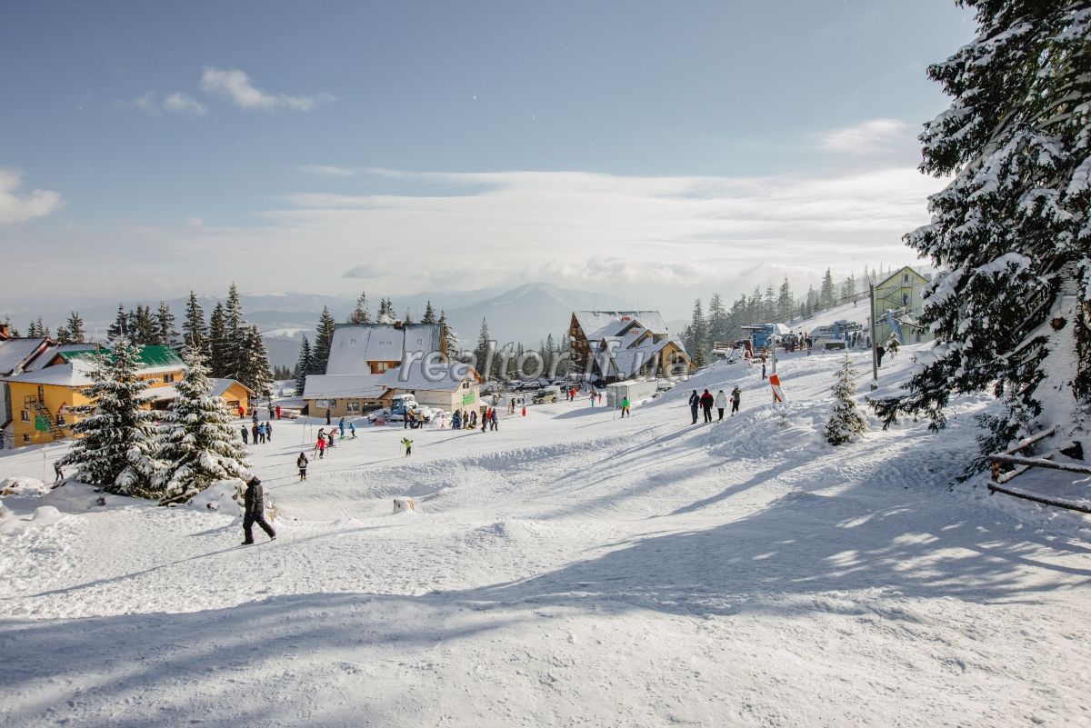 Prodazh_hotelno_-_restorannoho_kompleksu_Adrenalin_v_Karpatakh_20030_3_1618213323.jpeg