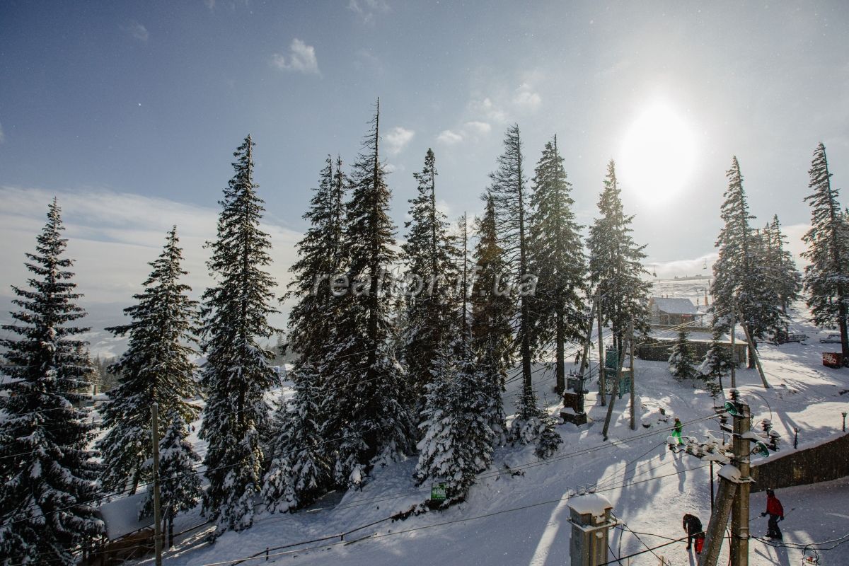 Prodazh_hotelno_-_restorannoho_kompleksu_Adrenalin_v_Karpatakh_20030_3_1618213423.jpeg