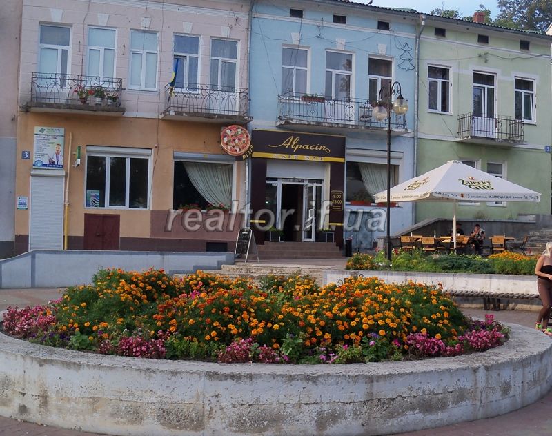 Prodazh_komertsiinoyi_nerukhomosti_(diyuche_kafe_Alpachino)_6869_2_1411297807.png