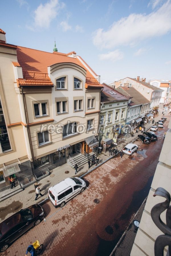 Prodazh_suchasnoyi_kvartyry_z_remontom_v_samomu_sertsi_Ivano-Frankivska___21963_10_1664533728.jpeg