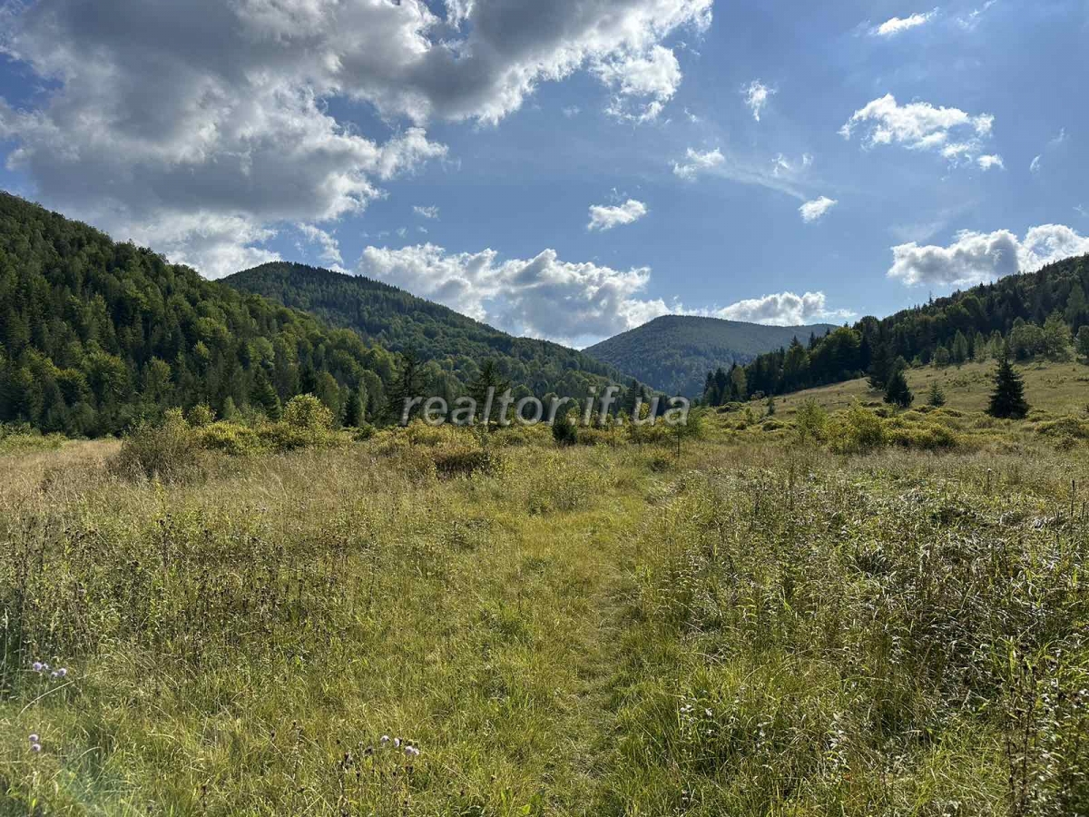 Prodazh_zemelnoyi_dilyanky_pid_silskohospodarske_pryznachennya_v_seli_Huta_22600_0_1693575412.jpeg