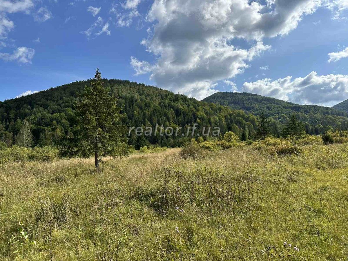 Prodazh_zemelnoyi_dilyanky_pid_silskohospodarske_pryznachennya_v_seli_Huta_22600_1_1693575412.jpeg