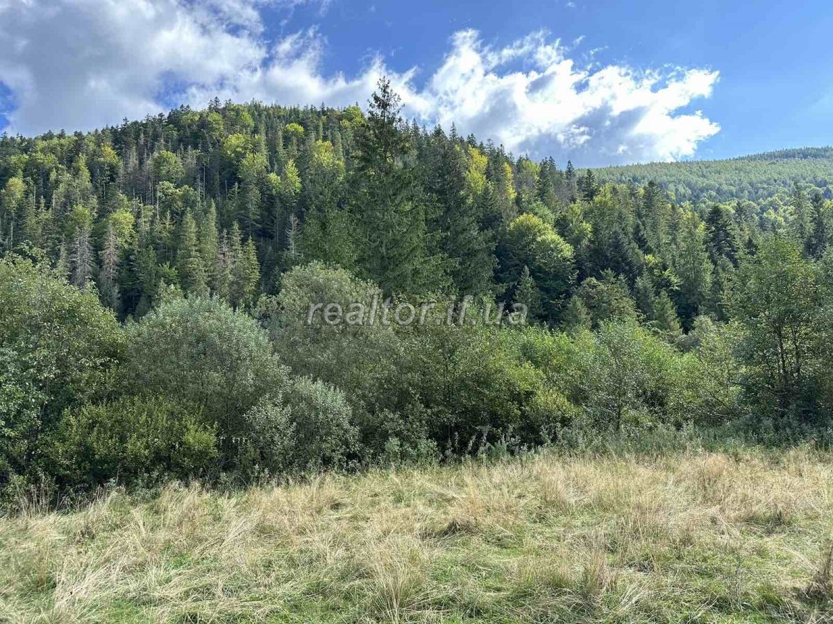 Prodazh_zemelnoyi_dilyanky_poruch_z_lisom_v_Huti_Bohorodchanskoho_raionu_22601_0_1693575905.jpeg