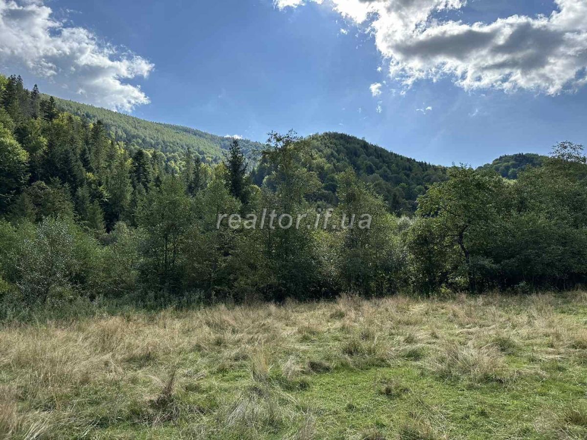 Prodazh_zemelnoyi_dilyanky_poruch_z_lisom_v_Huti_Bohorodchanskoho_raionu_22601_1_1693575905.jpeg