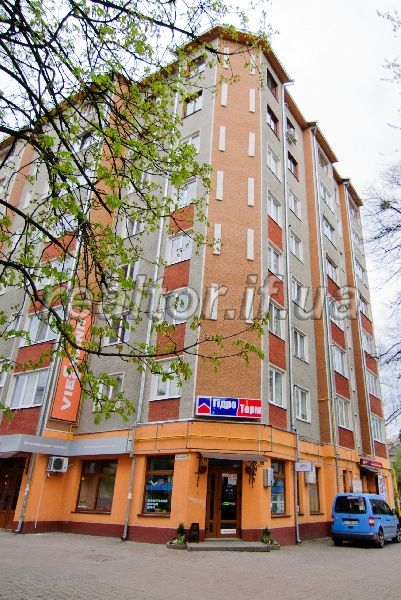 Terminovo__prodayu_velyku_kvartyru_-_syrets_po_vulytsi_Korolya_Danyla_tsentr_Zdana_novobudova_11886_4_1477571808.jpg