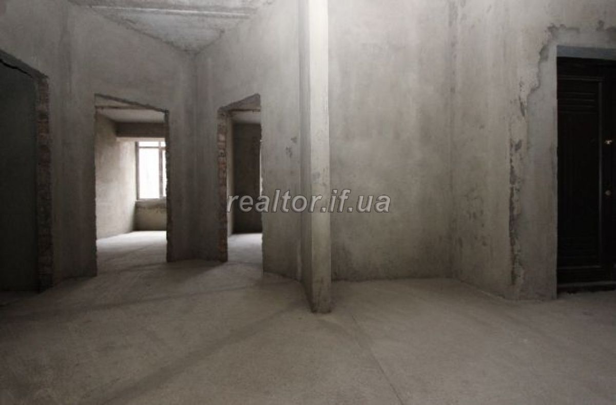 Velyka__kvartyra_v_zdanomu_budynku_v_parkovii_zoni_mista_po_vulytsi_VChornovola_12291_9_1516886098.jpg