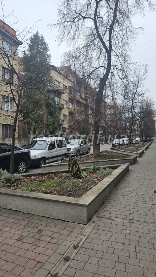 Zatyshna_kvartyra_v_tsentri_z_vydom_na_lypovu_aleyu_na_pochatku_vulytsi_Shevchenka_23481_17_1733225972.jpeg