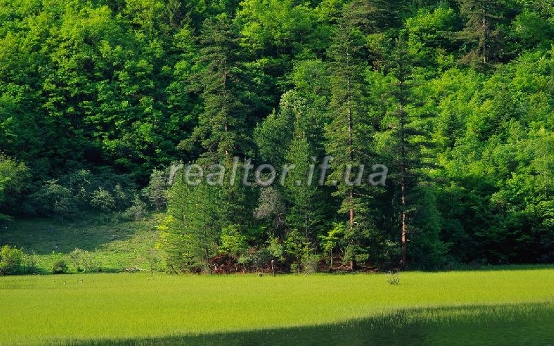 Zemelna_dilyanka_v_ekolohichnomu_kutochku_Ivano-Frankivska_4440_3_1368093636.jpg