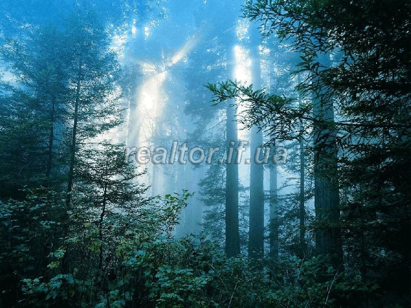 Zemelna_dilyanka_v_ekolohichnomu_kutochku_Ivano-Frankivska_4440_7_1368093637.jpg