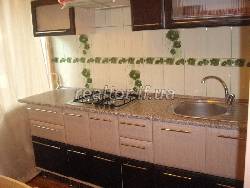 Daily rent apartments in the heart of the city