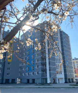 Ein-Zimmer-Wohnung in der Nähe des Stadtparks