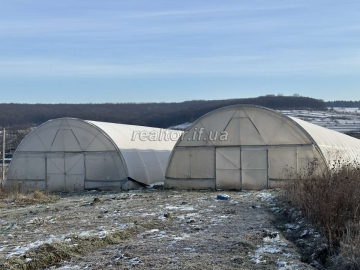 Promising plot with greenhouses for successful agribusiness