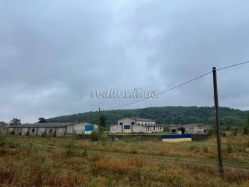 Продаж виробничо-складського комплексу із деревообробним заводом