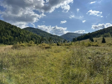 Verkauf von landwirtschaftlichen Flächen im Dorf Huta