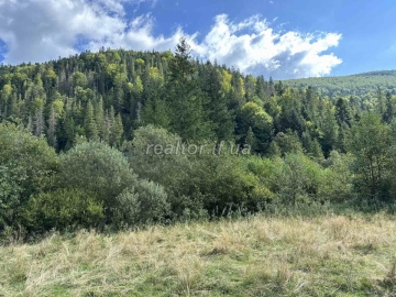 Verkauf eines Grundstücks neben dem Wald in Guta, Bezirk Bogorodchansky