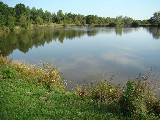 Участок рядом с прудом, вокруг лес, река. Раковчик